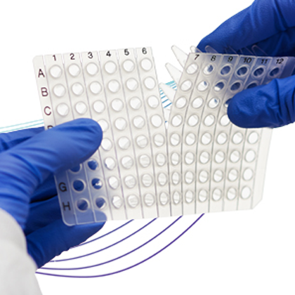 Divisible PCR Plates