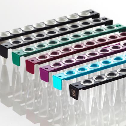 FrameStrip® 8 Well PCR Tube Strips | Group