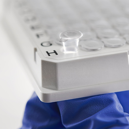 Sealing Foil for PCR & Sample Storage | Azenta Life Sciences