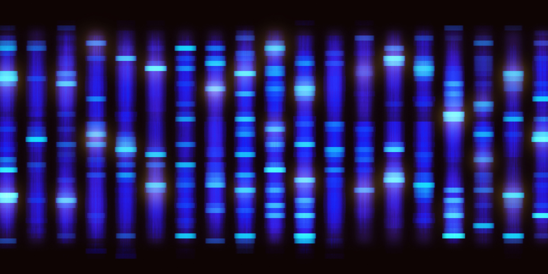 Troubleshooting DNA Templates with Sanger Sequencing