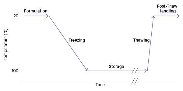 Cryopreservation process