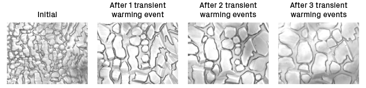 Microscopic images of ice recrystallization