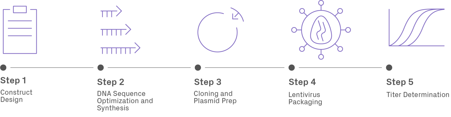 Typical workflow for lentiviral packaging