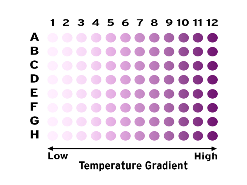 Temperature gradient