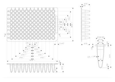 96 Well Non-Skirted PCR Plate Technical Drawing