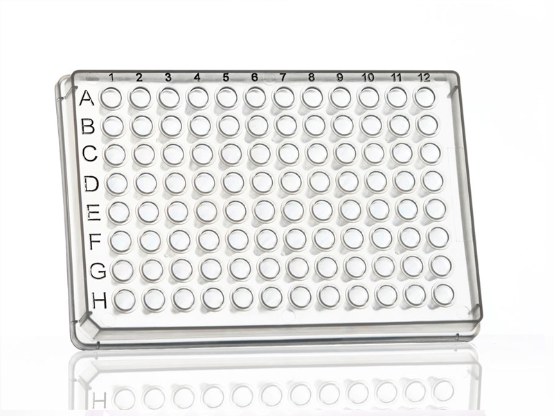 Full skirt pcr plate best sale