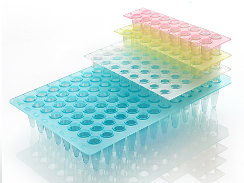 Non-Skirted PCR Plate Segments | Group