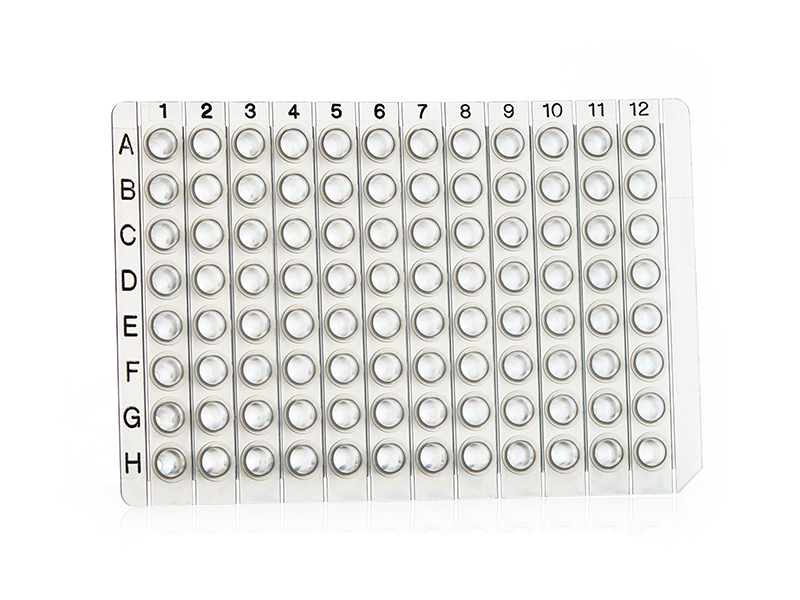 4ti-0750/TA | 96 Well Non-Skirted PCR Plate Breakable Horizontally or Vertically 96/8