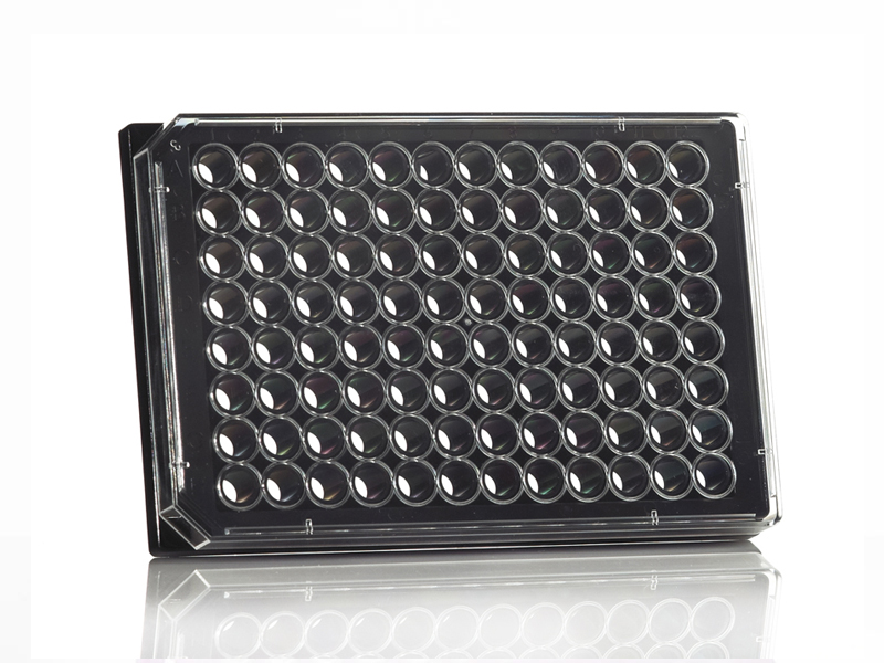 4ti-0221 | 96 Well Optically Clear Tissue Culture Plate | Lidded | Front