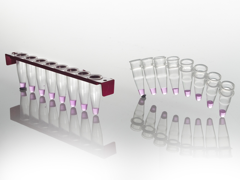 8 Well PCR Tube Strip with PC Frame & Standard Tube Strips | Comparison | 8 Well PCR Tube Strip with PC Frame will remain straight and stable, even at elevated temperatures and when filled with liquid