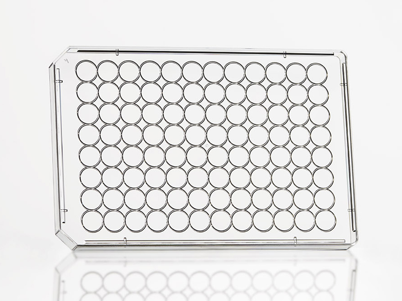 4ti-0282 | Microplate 96 Lid