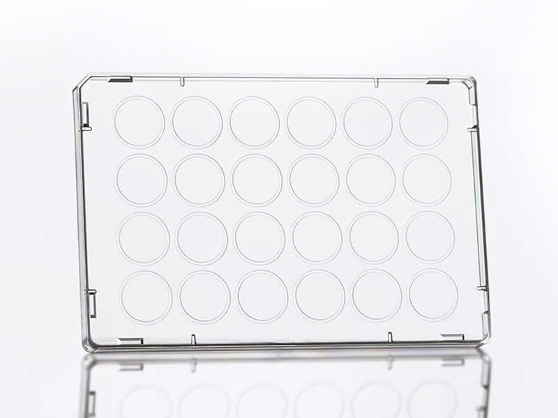 4ti-0284 | Microplate 24 Lid