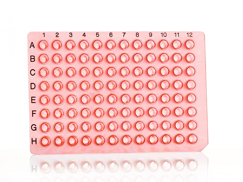 4ti-0750/R | 96 Well Non-Skirted PCR Plate | Front