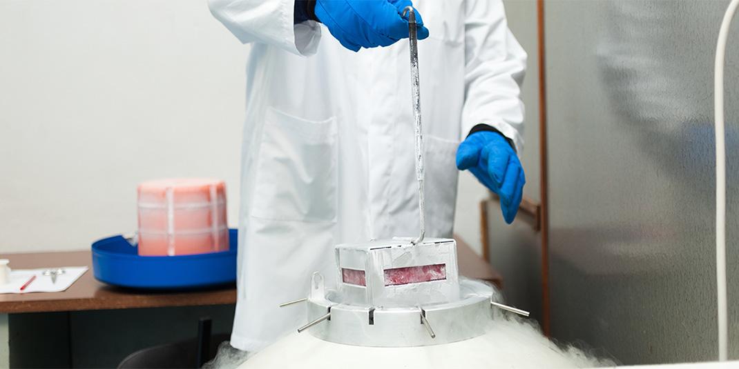 Lab technician removing labware from LN2 storage