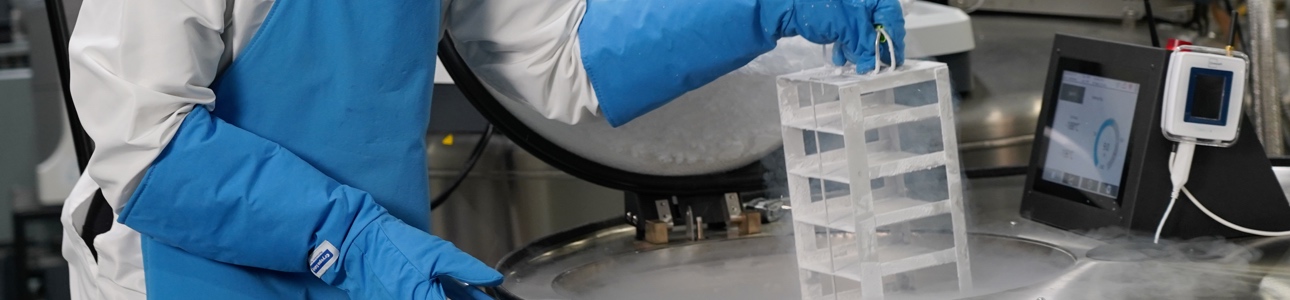 Scientist pulling labware from LN2 freezer tank