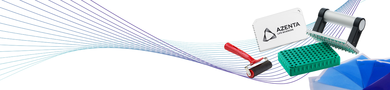 Group of microplate handling accessories