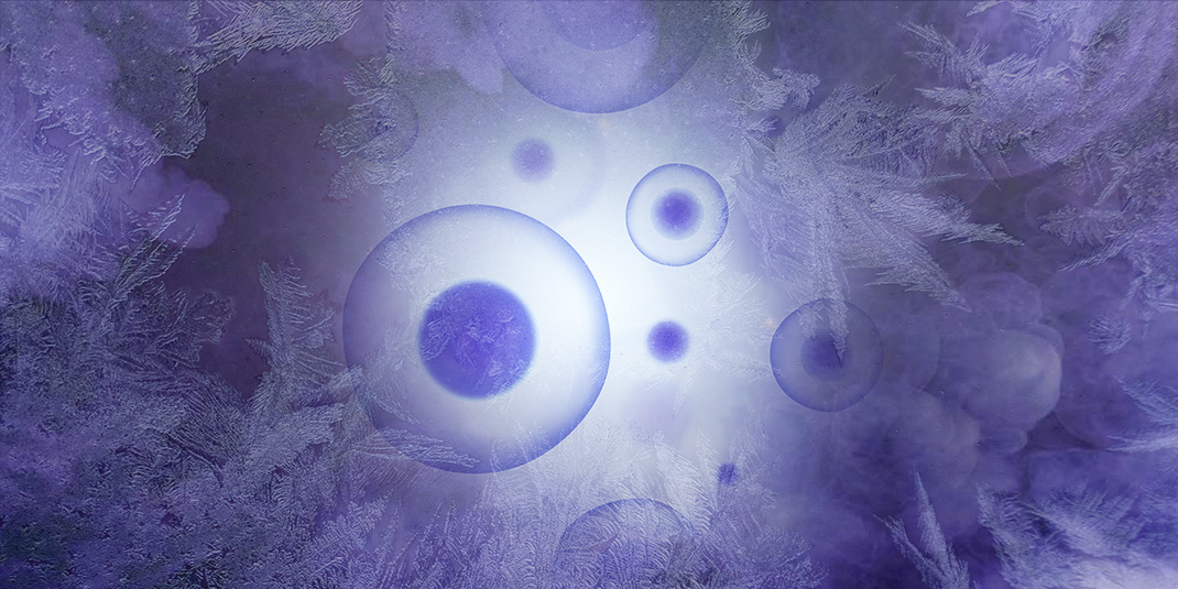 Cryopreservation of biological cells