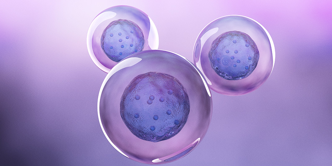 Three cells in purple background