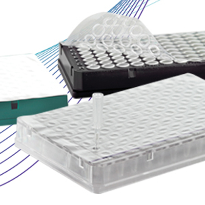 Group of microplate heat seals