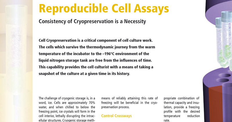 Consistency of Cryopreservation is a Necessity